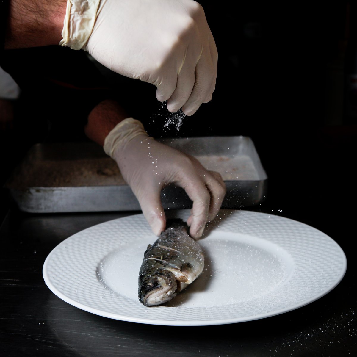 fish place holder