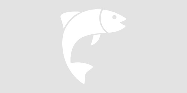 fish-placeholder